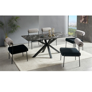 Modern design Dining table and chairs set for home furniture